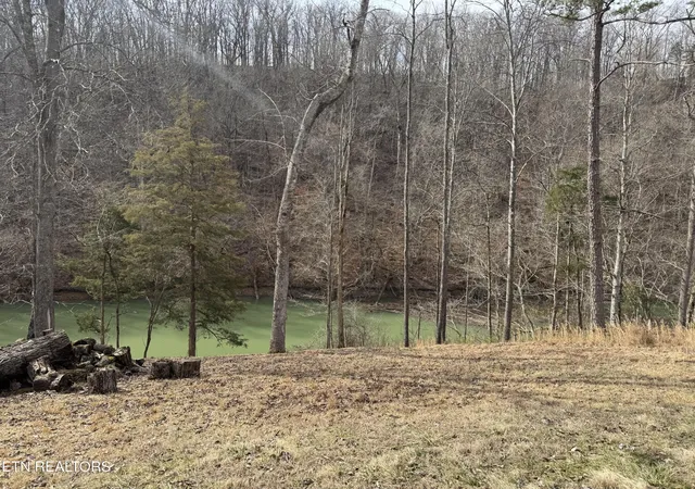 4th image of 348 Wagon Lane, Speedwell, TN 37870 | MLS# 2986588