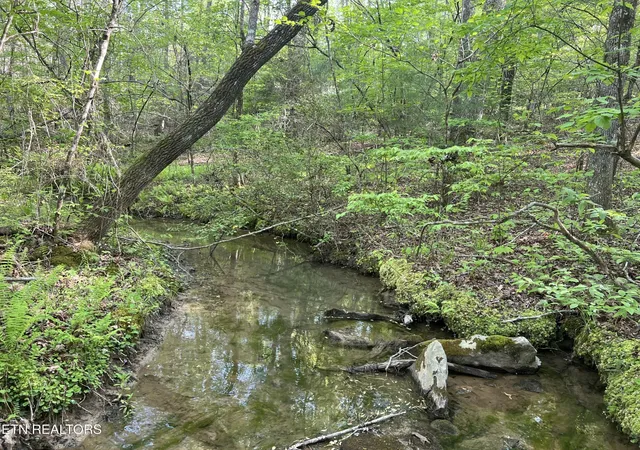 3rd image of 328 Peavine Firetower Rd, Crossville, TN 38571 | MLS# 2930405