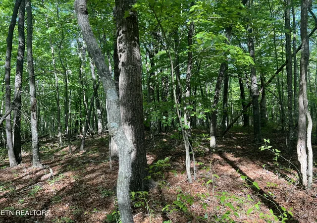4th image of 328 Peavine Firetower Rd, Crossville, TN 38571 | MLS# 2930405