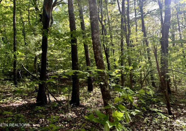 5th image of 328 Peavine Firetower Rd, Crossville, TN 38571 | MLS# 2930405