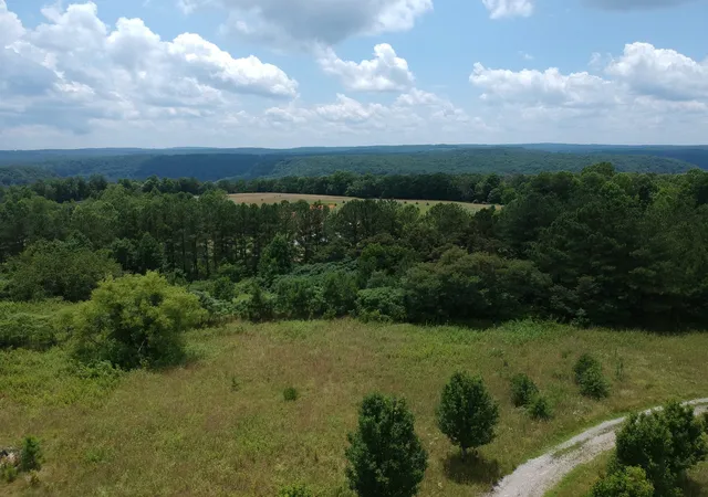 Homes for sale in Whitwell, TN | 5199 Burkett Chapel Rd, Whitwell, TN 37397 | MLS# 2821961