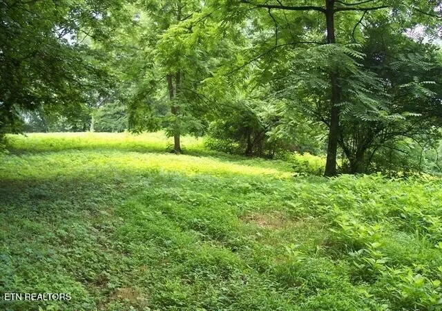 3rd image of 525 Kingwood Street St, Kingston, TN 37763 | MLS# 3112138