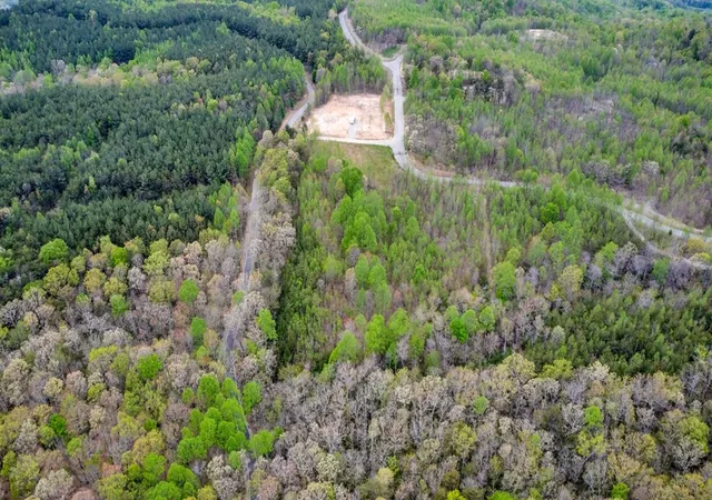 12th image of 1322 Hillis Cemetery Road, Spencer, TN 38585 | MLS# 2823898