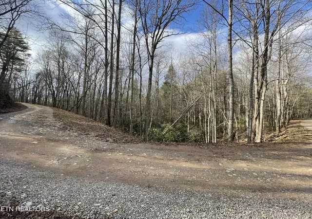 59th image of 2500 Joe Brown Hwy, Tellico Plains, TN 37385 | MLS# 3171939