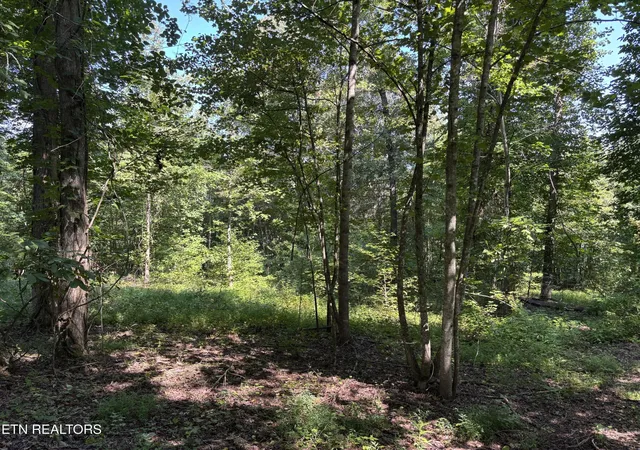 Homes for sale in Rockwood, TN | 371 Walking Horse Tr, Rockwood, TN 37854 | MLS# 3079723