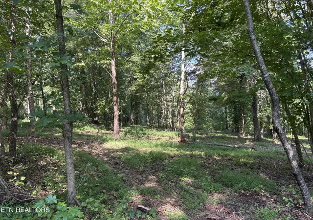 Homes for sale in Rockwood, TN | 371 Walking Horse Tr, Rockwood, TN 37854 | MLS# 3079723