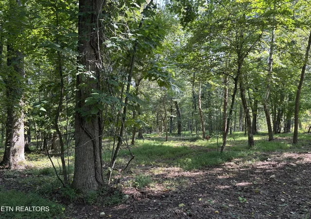 Homes for sale in Rockwood, TN | 371 Walking Horse Tr, Rockwood, TN 37854 | MLS# 3079723