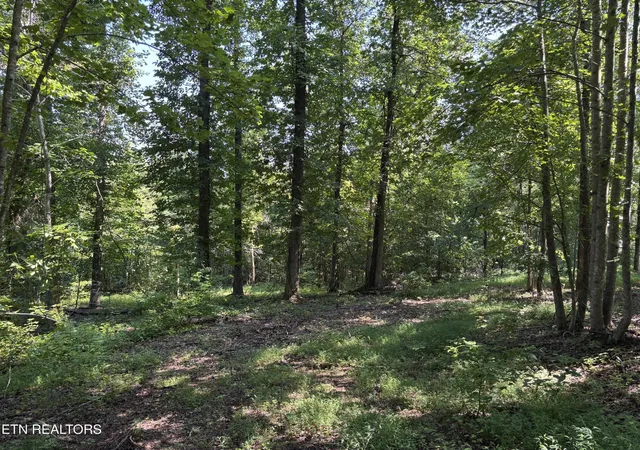 Homes for sale in Rockwood, TN | 371 Walking Horse Tr, Rockwood, TN 37854 | MLS# 3079723
