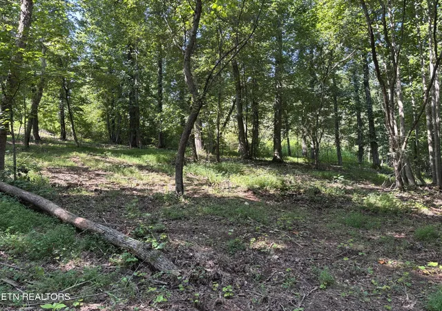 Homes for sale in Rockwood, TN | 371 Walking Horse Tr, Rockwood, TN 37854 | MLS# 3079723