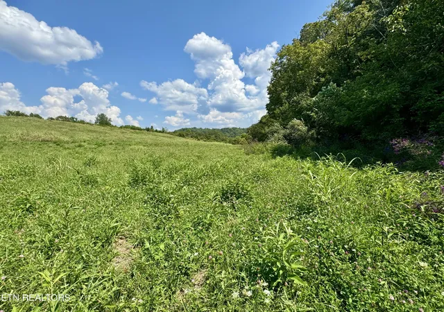 2nd image of 0 Wye Dr, Seymour, TN 37865 | MLS# 2980432