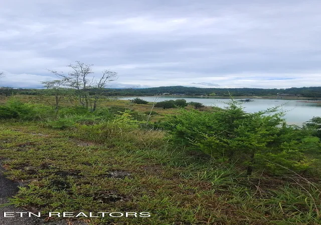 4th image of 30 Emerald Isle Blvd, Dandridge, TN 37725 | MLS# 3163420