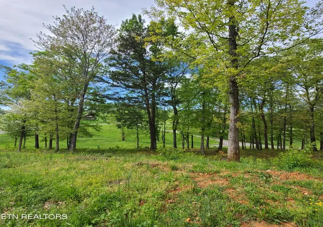 5th image of 92 Majestic Circle, Dandridge, TN 37725 | MLS# 3163421