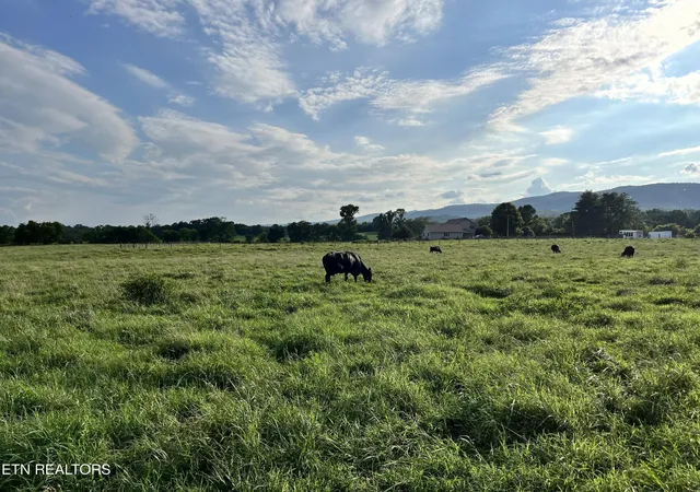 1st image of 0 Old State Hwy, Crossville, TN 38555 | MLS# 2918870