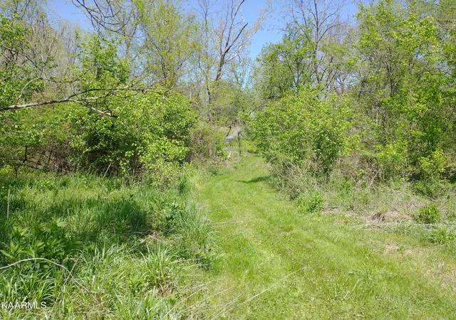 4th image of 420 Winding Ridge Tr, Seymour, TN 37865 | MLS# 2871905