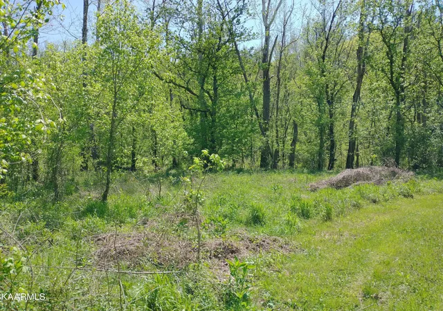 5th image of 420 Winding Ridge Tr, Seymour, TN 37865 | MLS# 2871905