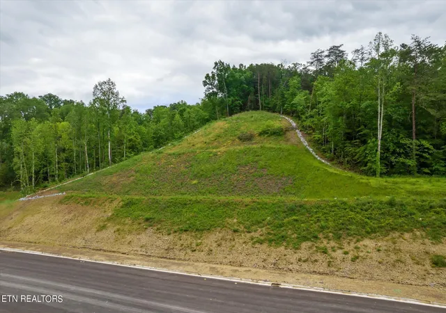 5th image of 0 Jake Thomas Rd Blvd, Pigeon Forge, TN 37863 | MLS# 3270210