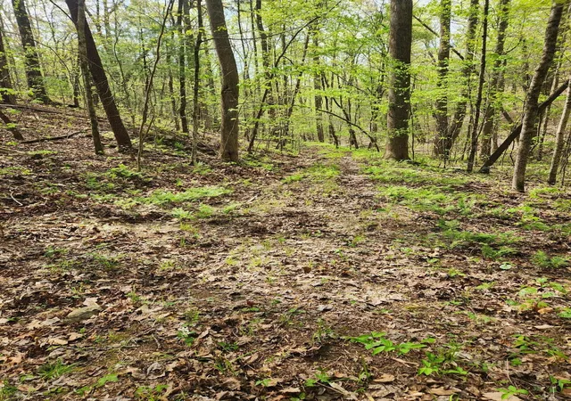 Land for sale at 0 Chestnut Mountain Rd, Reliance, TN 37369 | MLS# 3193945