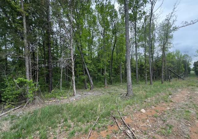 2nd image of 122 Patterson Hill Rd, Lascassas, TN 37085 | MLS# 2823138