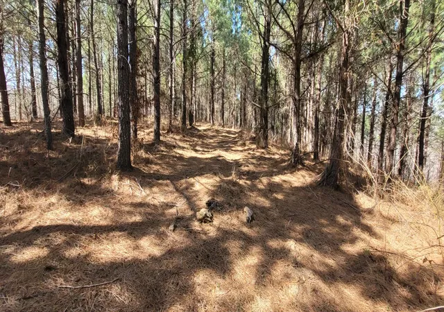 Photo 2 of Land for sale at 1 Saddleback Dr, Dover, TN 37058 | MLS# 2865820 | Listing updated on 2026-05-03