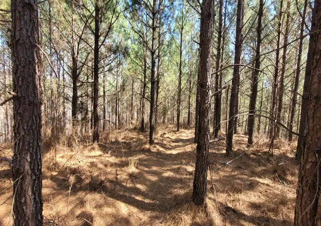 Photo 3 of Land for sale at 1 Saddleback Dr, Dover, TN 37058 | MLS# 2865820 | Listing updated on 2026-09-30