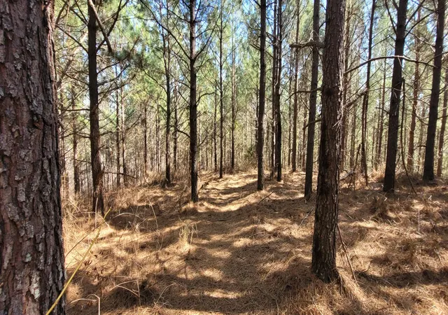 Photo 4 of Land for sale at 1 Saddleback Dr, Dover, TN 37058 | MLS# 2865820 | Listing updated on 2026-09-30