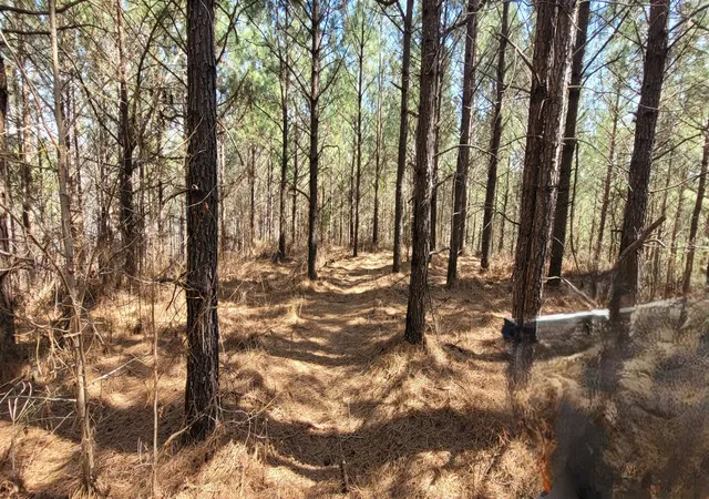 Photo 1 of Land for sale at 1 Saddleback Dr, Dover, TN 37058 | MLS# 2865820 | Listing updated on 2026-05-03