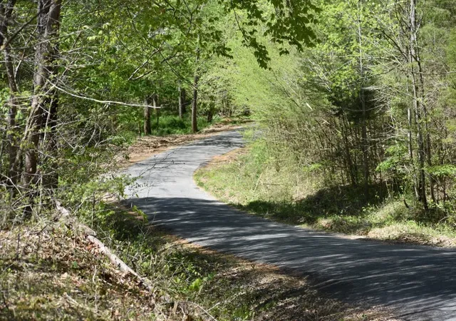 18th image of 0 Buckner Ridge Road, Bon Aqua, TN 37025 | MLS# 2823141