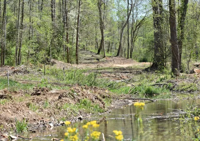 3rd image of 0 Buckner Ridge Road, Bon Aqua, TN 37025 | MLS# 2823141