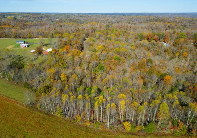 48th image of 2533 Hanestown Rd, Westmoreland, TN 37186 | MLS# 2824180