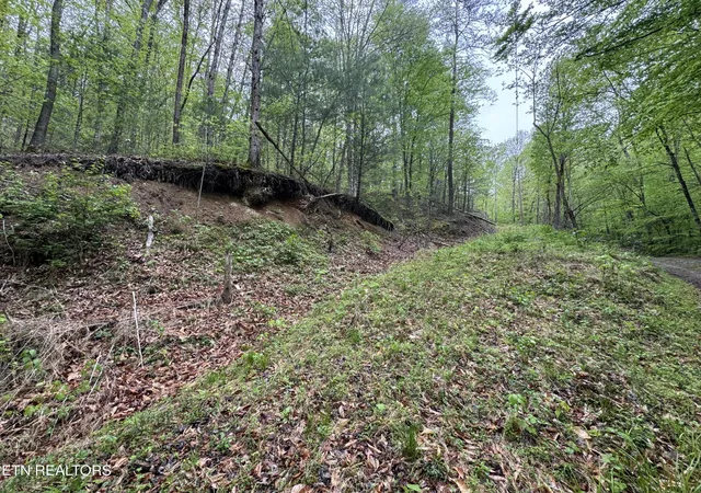 Photo 1 of Land for sale at 376 Summer House Holw Rd, Del Rio, TN 37727 | MLS# 3078929 | Listing updated on 2026-09-21