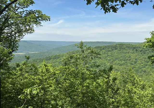 1st image of 460 Volunteer Street, Jasper, TN 37347 | MLS# 2883057