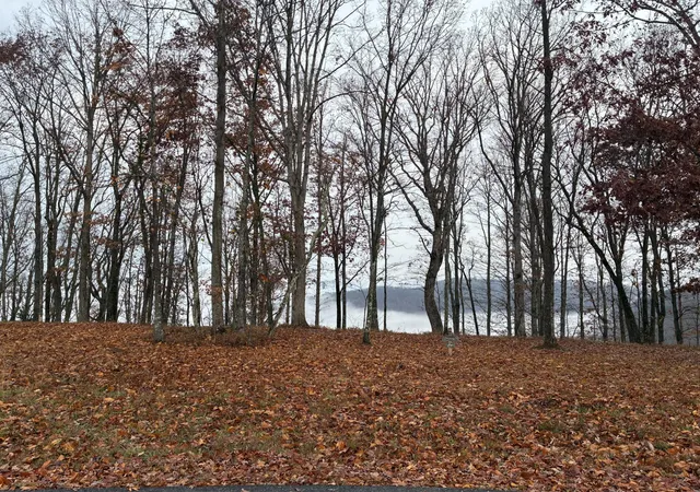 4th image of 460 Volunteer Street, Jasper, TN 37347 | MLS# 2883057