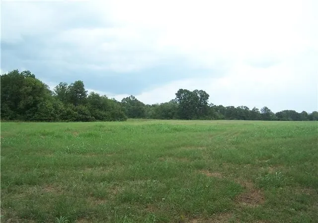 Photo 4 of Land for sale at 0 Gambill Ln, Smyrna, TN 37167 | MLS# 3218103 | Listing updated on 2026-05-22