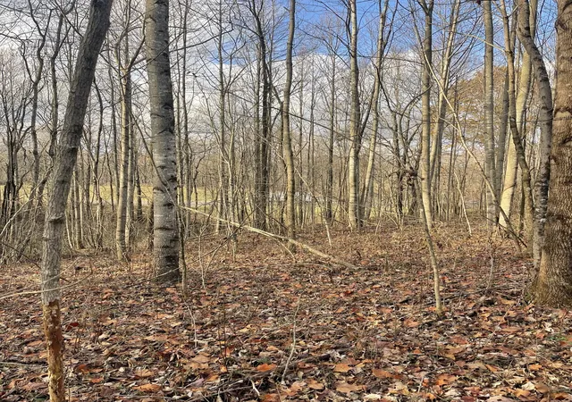 2nd image of 10900 Hwy 52 West W, Westmoreland, TN 37186 | MLS# 2824143