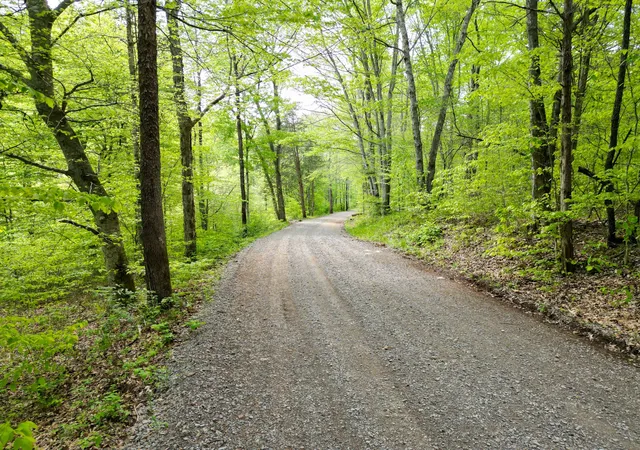 12th image of 2 Cave Branch, Dickson, TN 37055 | MLS# 2824716