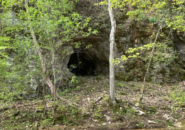 2nd image of 2 Cave Branch, Dickson, TN 37055 | MLS# 2824716