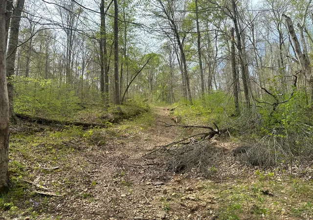 4th image of 2 Cave Branch, Dickson, TN 37055 | MLS# 2824716