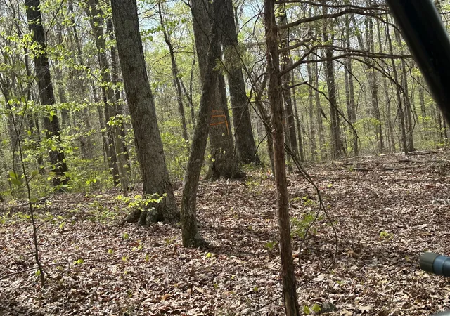 5th image of 2 Cave Branch, Dickson, TN 37055 | MLS# 2824716
