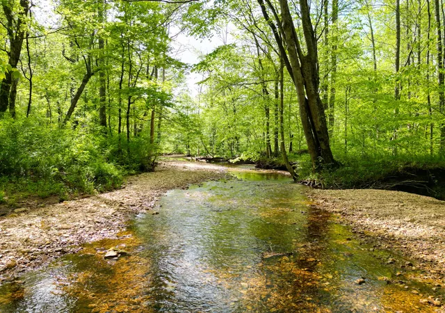 1st image of 2 Cave Branch, Dickson, TN 37055 | MLS# 2824716