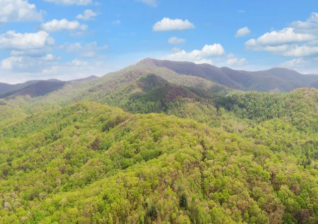 3rd image of 385 Elrod Circle, Turtletown, TN 37391 | MLS# 3337946