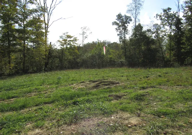 2nd image of 0 Hwy 52 E, Celina, TN 38551 | MLS# 2824856