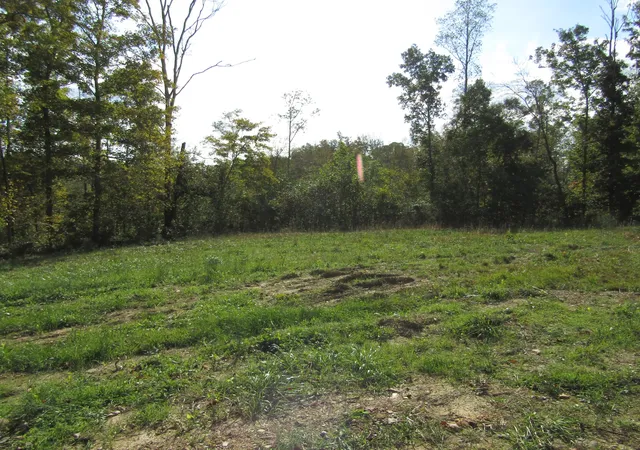 3rd image of 0 Hwy 52 E, Celina, TN 38551 | MLS# 2824856