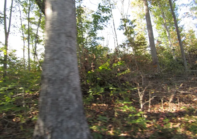 5th image of 0 Hwy 52 E, Celina, TN 38551 | MLS# 2824856