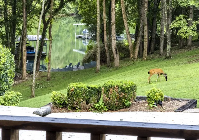 3rd image of 35 Cedar Ln, Winchester, TN 37398 | MLS# 2865187