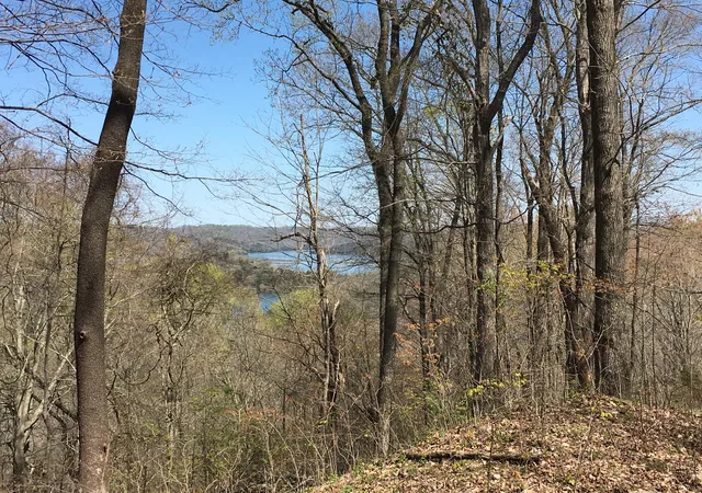 Photo 2 of Land for sale at 0 Rutherford Lane, Smithville, TN 37166 | MLS# 2867601 | Listing updated on 2026-09-09