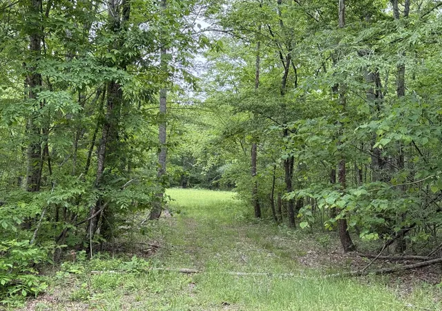3rd image of 0 Leonard Jackson Rd, Waynesboro, TN 38485 | MLS# 2866603