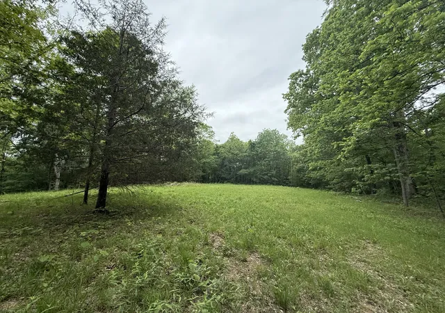 4th image of 0 Leonard Jackson Rd, Waynesboro, TN 38485 | MLS# 2866603