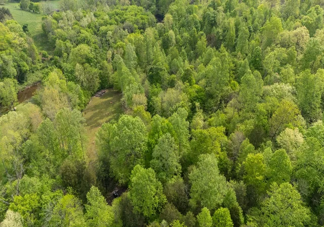 4th image of 2113 Coolidge Rd, Lafayette, TN 37083 | MLS# 2866780