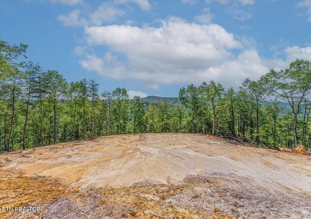 2nd image of 1200 Steer Creek Rd, Tellico Plains, TN 37385 | MLS# 3228531