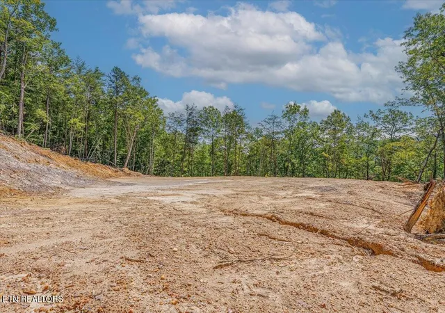 3rd image of 1200 Steer Creek Rd, Tellico Plains, TN 37385 | MLS# 3228531